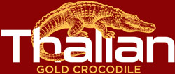 logo-footer